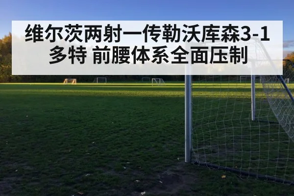 维尔茨两射一传勒沃库森3-1多特 前腰体系全面压制